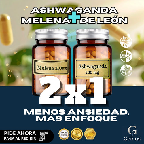 2X1 - Melena de León + Ashwagandha
